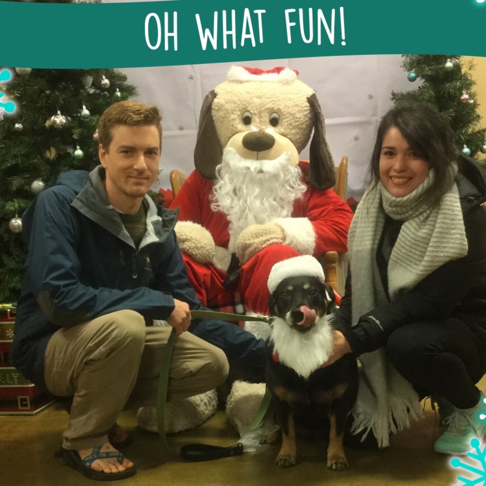 Hello!! - Picture 2 of 5